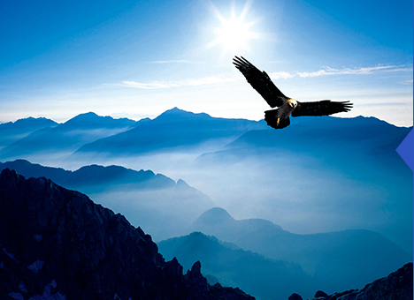 腾博会官网(tengbo)专业效劳,诚信为本