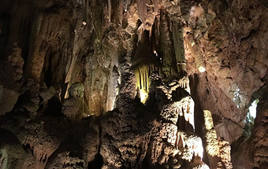 腾博会官网(tengbo)专业效劳,诚信为本