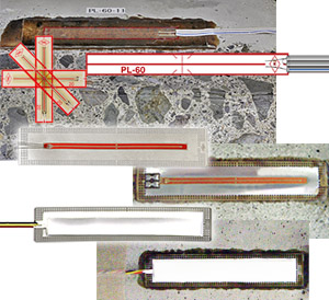 腾博会官网(tengbo)专业效劳,诚信为本