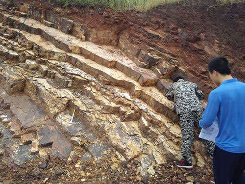 腾博会官网(tengbo)专业效劳,诚信为本