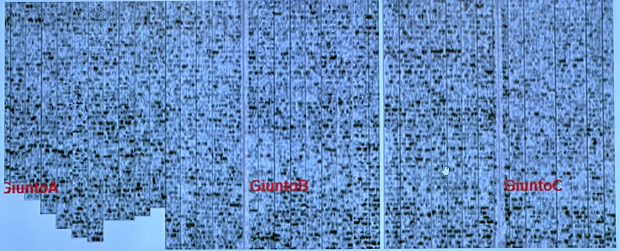腾博会官网(tengbo)专业效劳,诚信为本
