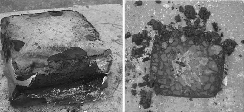 腾博会官网(tengbo)专业效劳,诚信为本