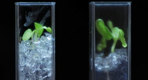 腾博会官网(tengbo)专业效劳,诚信为本