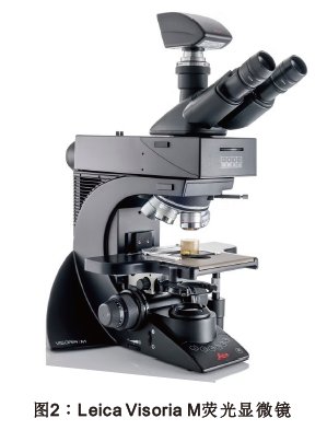 腾博会官网(tengbo)专业效劳,诚信为本