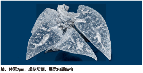 腾博会官网(tengbo)专业效劳,诚信为本